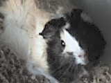 DSC08393.JPG